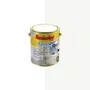 Epoxi Base Água Branco 3,6L | Resicolor