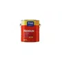 Esmalte Sintético Premium Chumbo Brilhante 900ml | Tinsul
