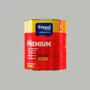 Esmalte Sintético Premium Chumbo Brilhante 900ml | Tinsul