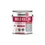 Mold Killing Primer Base Água Branco 3,785L | Zinsser