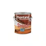 Removedor de Tintas Striptizi 3,6l | Montana