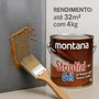Removedor de Tintas Striptizi 3,6l | Montana