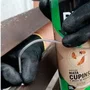 Spray Pro Inset Mata Cupins 350ml/185g | Domline