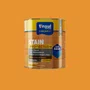 Stain Protection Canela Base Água 900ml | Tinsul