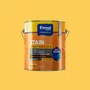 Stain Protection Natural Base Água 3,6l | Tinsul