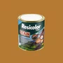 Stain Transparente 3,6L | Resicolor