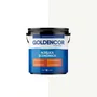 Tinta Econômico Fosco Branco 18L | Goldencor